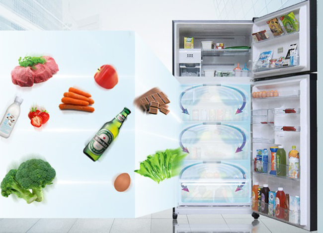 Tủ lạnh Toshiba 600 lít GR-WG66VDZ